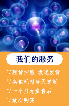 热门导航