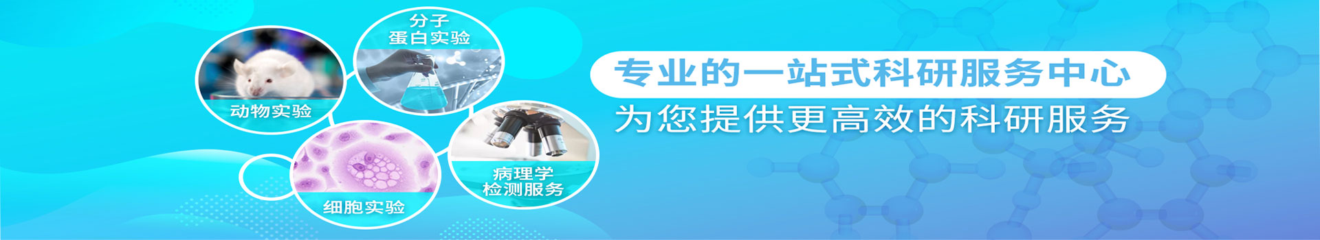 德尔夫