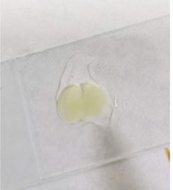 振动切片