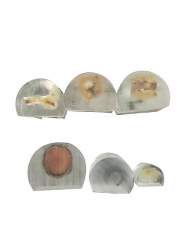 未脱钙骨硬组织包埋