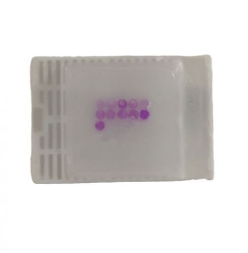 细胞芯片蜡块制作